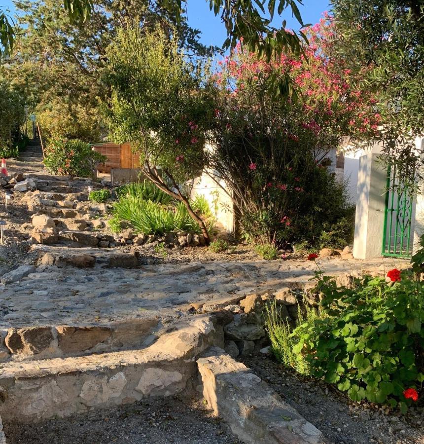 Casa Anita - La Almona Chica Vendégház El Chorro Kültér fotó