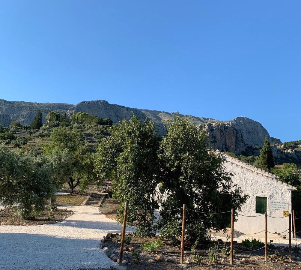 Casa Anita - La Almona Chica Vendégház El Chorro Kültér fotó