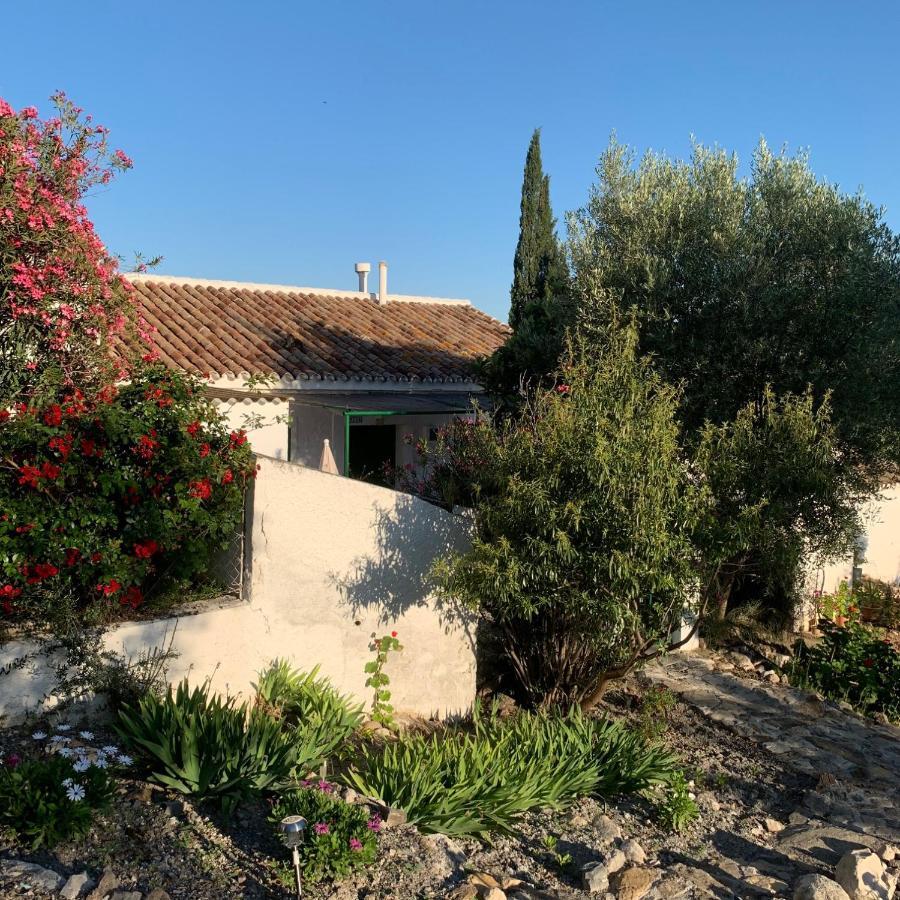Casa Anita - La Almona Chica Vendégház El Chorro Kültér fotó