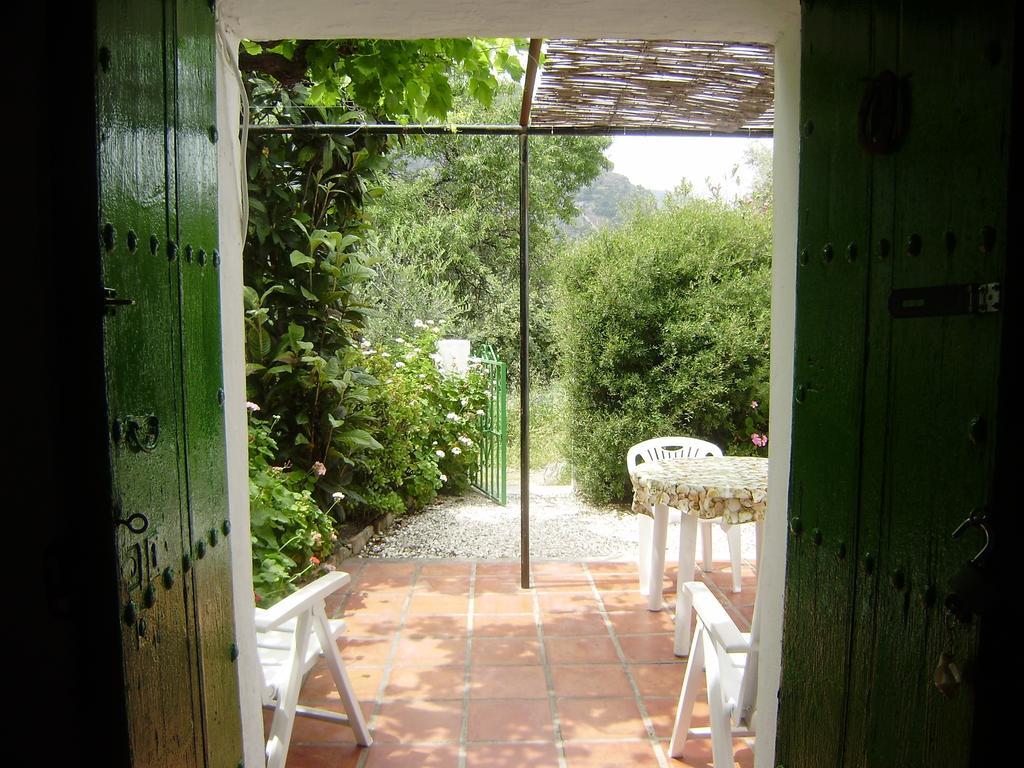 Casa Anita - La Almona Chica Vendégház El Chorro Szoba fotó