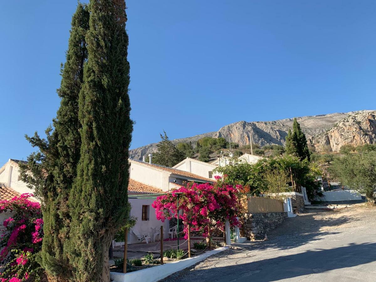 Casa Anita - La Almona Chica Vendégház El Chorro Kültér fotó