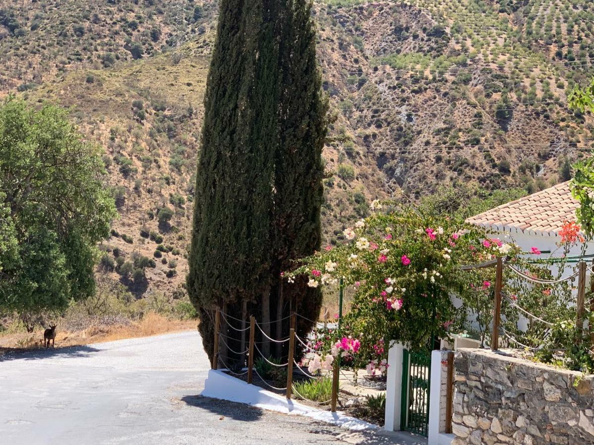 Casa Anita - La Almona Chica Vendégház El Chorro Kültér fotó